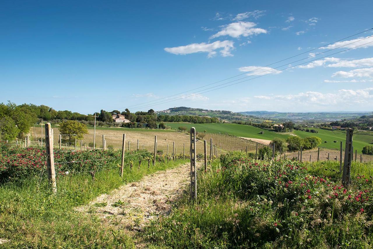 A11 - Varano, Delizioso Trilocale Con Giardino 安科纳 外观 照片