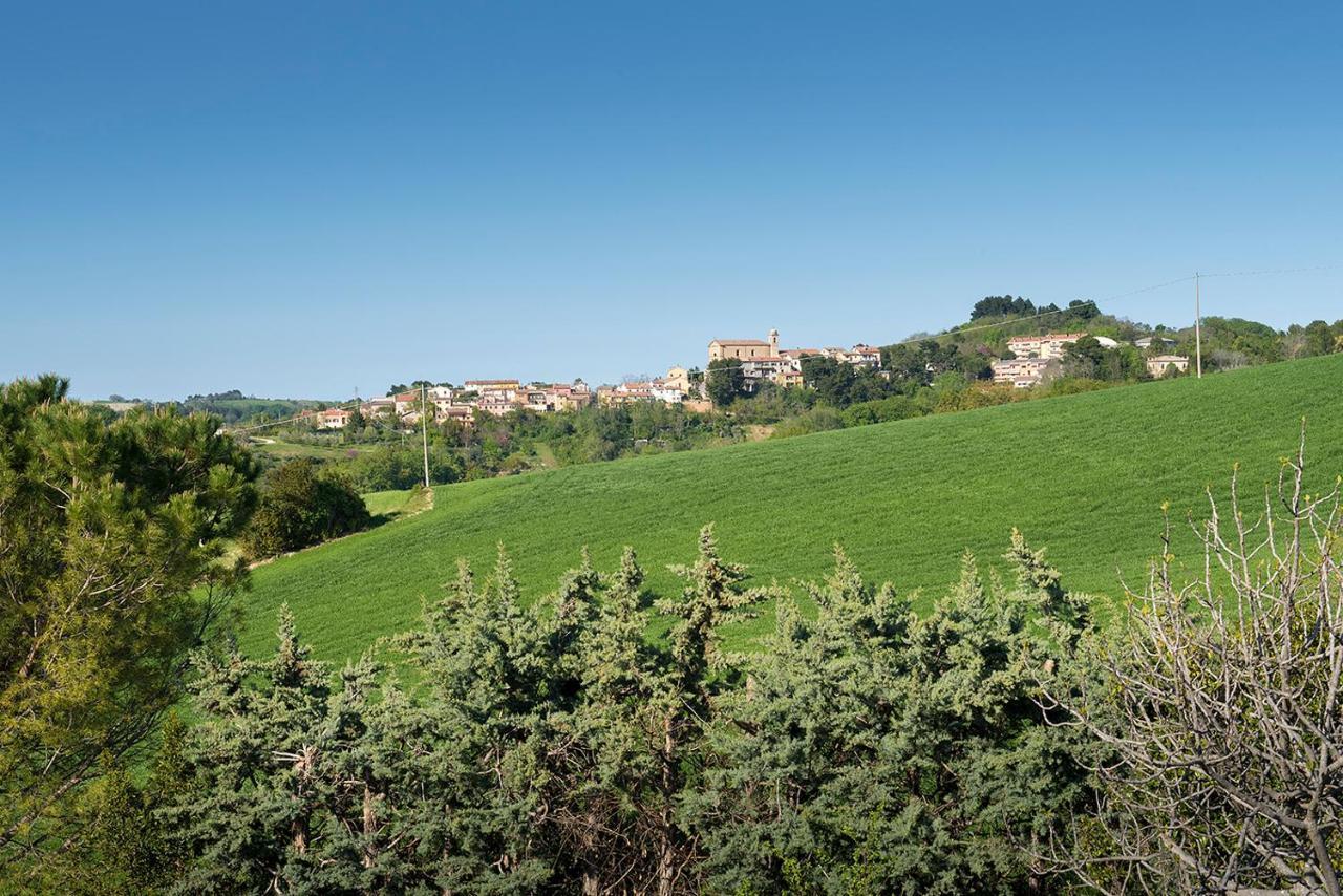 A11 - Varano, Delizioso Trilocale Con Giardino 安科纳 外观 照片