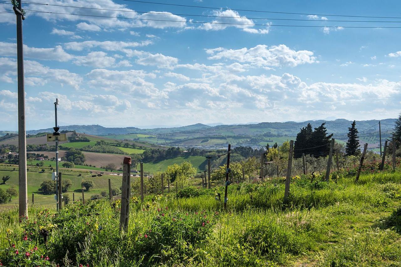 A11 - Varano, Delizioso Trilocale Con Giardino 安科纳 外观 照片