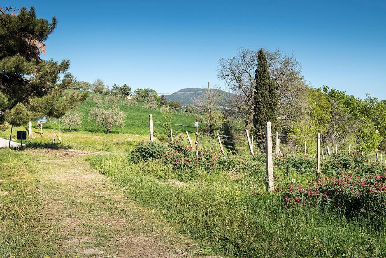A11 - Varano, Delizioso Trilocale Con Giardino 安科纳 外观 照片